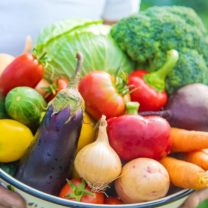 Fermented Whole Foods Powder